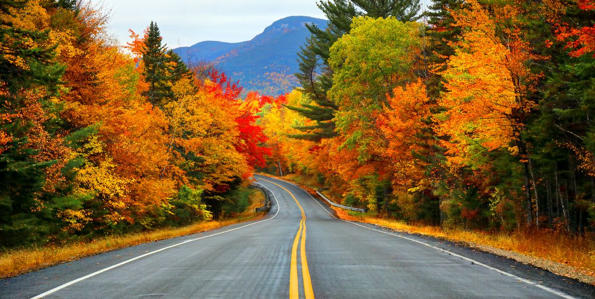 The Quest to Enjoy a Crisp Autumn Day