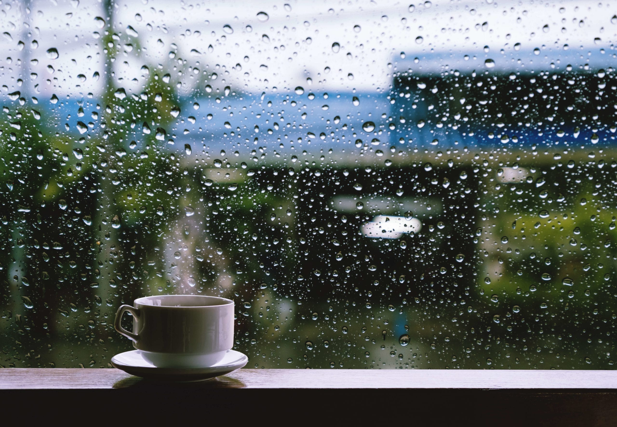 The Quest to Enjoy a Rainy Day and Tiny Happy Things