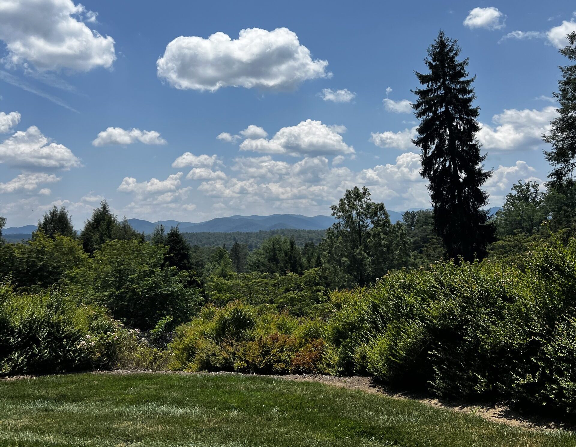 🏔️Hope in the Hills: Rediscovering Asheville and the Blue Ridge Mountains Post-Storm